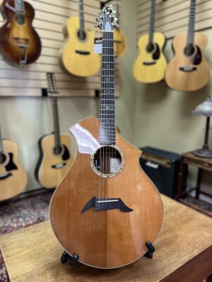 Signed Breedlove Performance Series CM Custom - Image 7