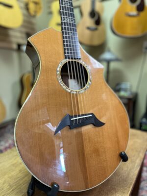 Signed Breedlove Performance Series CM Custom - Image 6