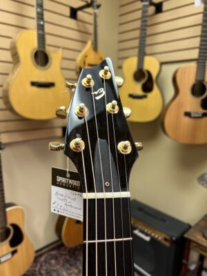 Signed Breedlove Performance Series CM Custom - Image 5