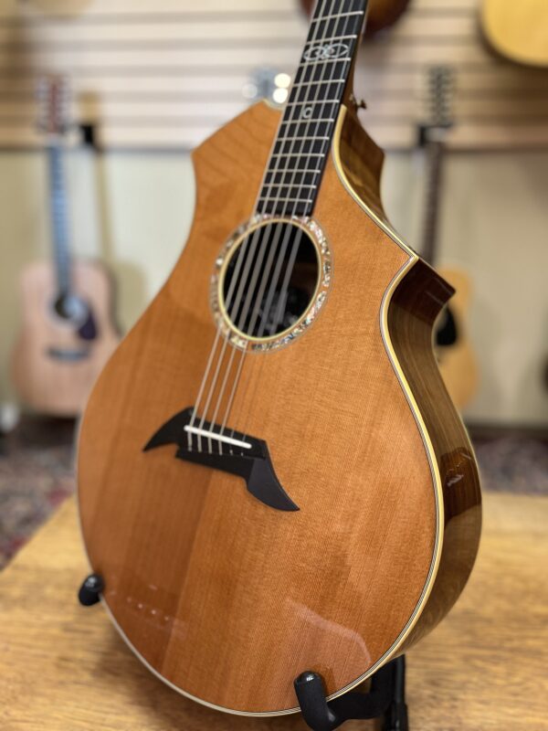 Signed Breedlove Performance Series CM Custom